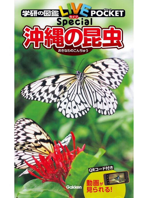 沖縄県国頭郡久志村 (47312A1968) | 歴史的行政区域データセットβ版